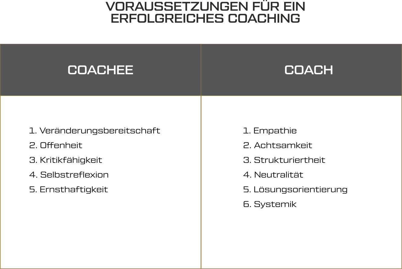 Grundlagen Voraussetzungen fürs ein Coaching
